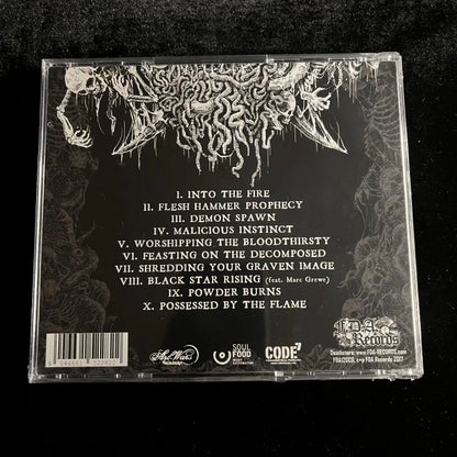 Endseeker - Flesh Hammer Prophecy CD