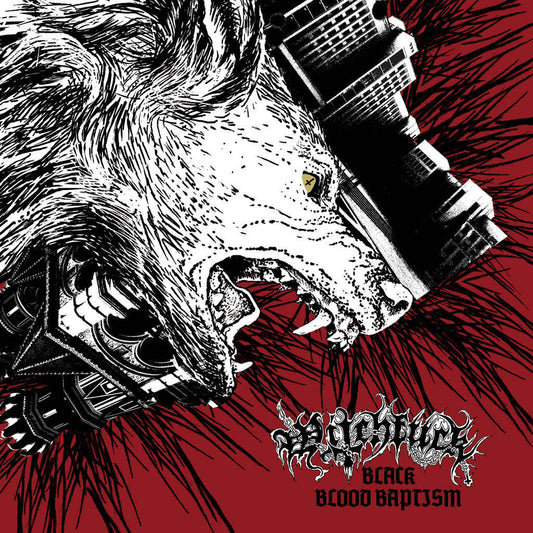 Witchfuck - Black Blood Baptism CD