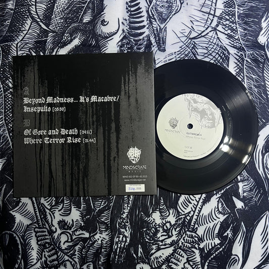 Offal / Gutwrench - Beyond Madness... Where Terror Rise 7" EP