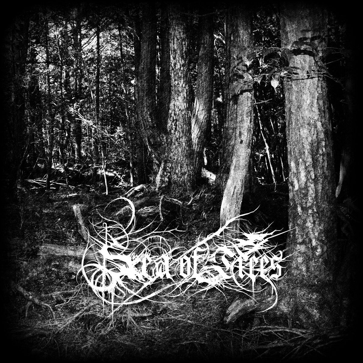 Sea of Trees - Aokigahara CD | Black Hearts Records